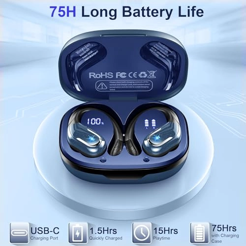 BX27-NEW Wireless Earbud