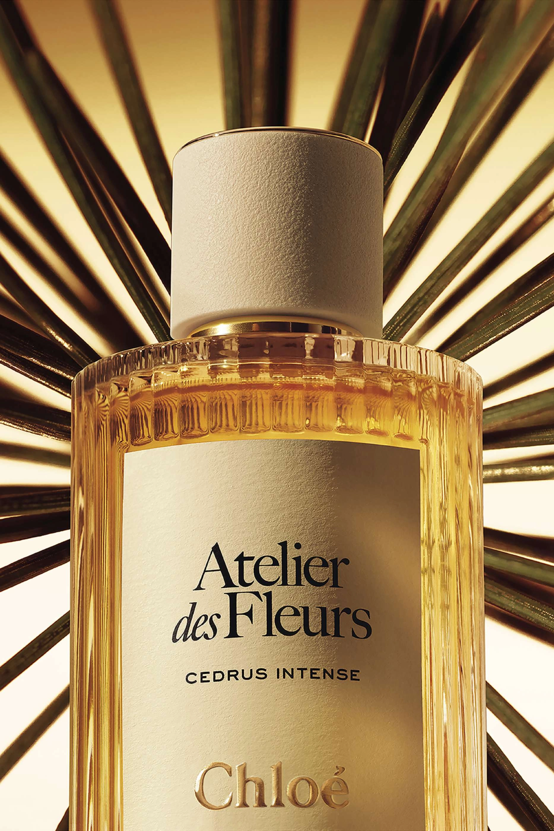 Atelier des Fleurs Cedrus Eau de Parfum 150ml