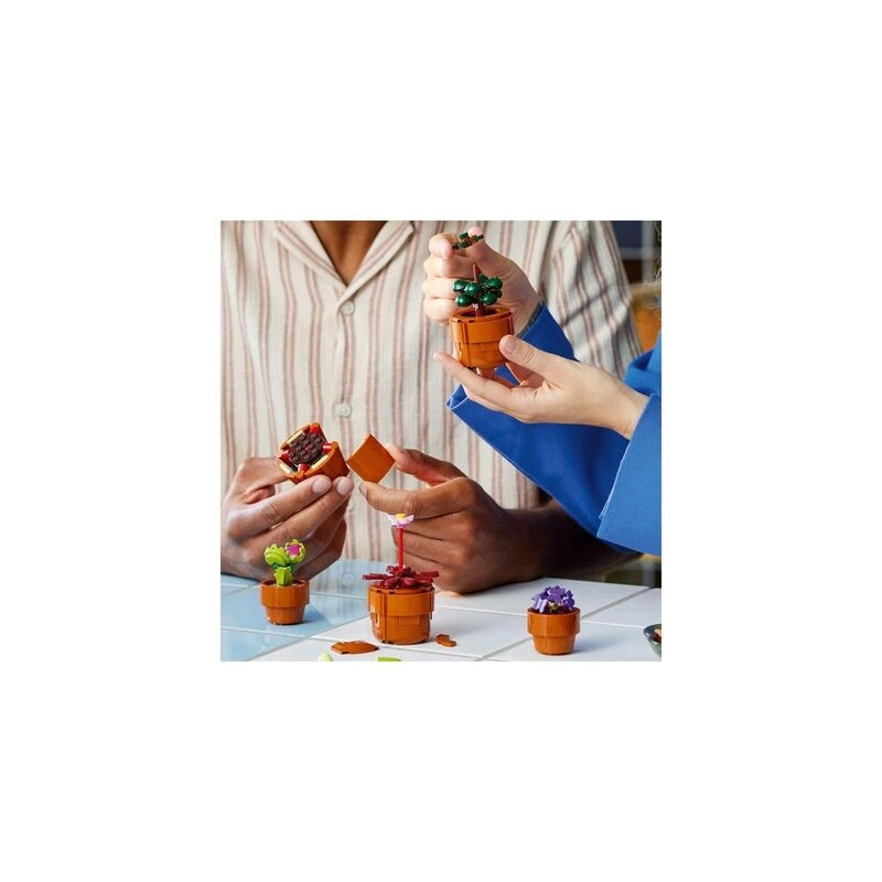 LEGO Botanical Tiny Plants (10329)
