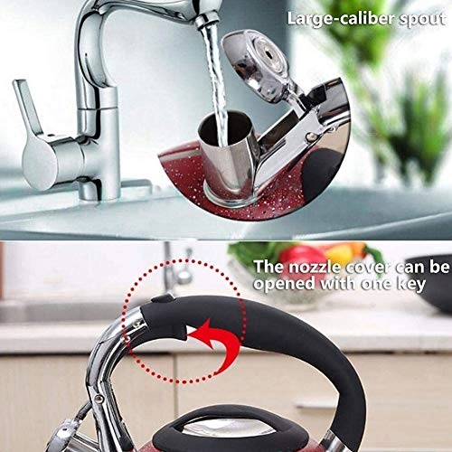 Whistling Tea Kettle - 3l