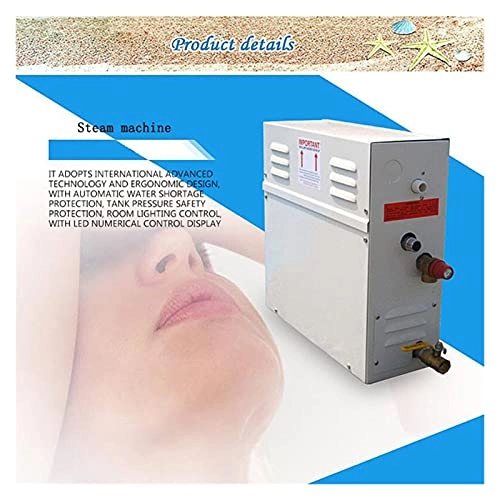 Steam shower generator