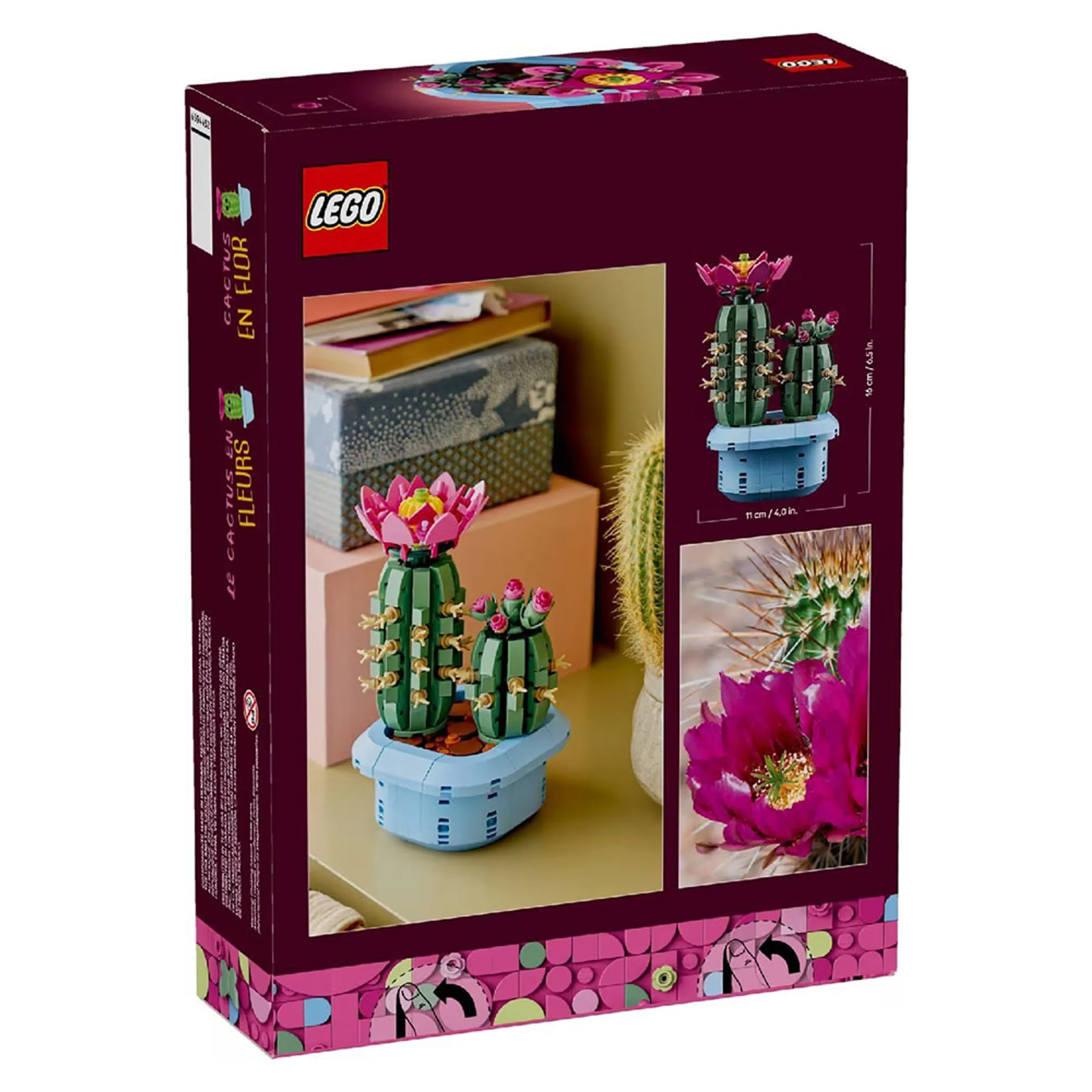 Flowering Cactus (11509)