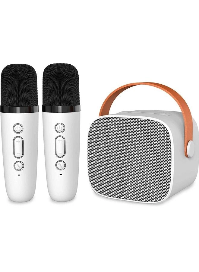 Karaoke Bluetooth Speaker - High Volume Wireless Dual Mic RGB Lights