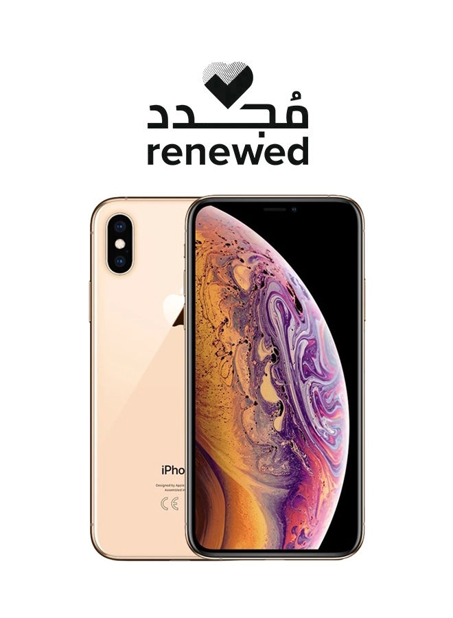 (Renewed) iPhone XS - 256GB