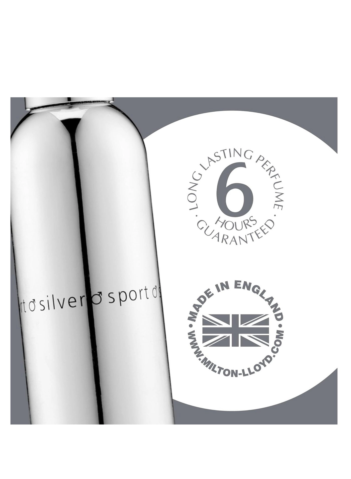 Silver Sport - Eau de Parfum 90 ml