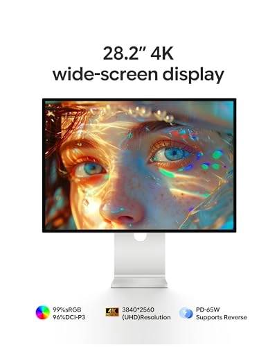 P10 - B-P10 28.2 Inches 3840 x 2560 Pixels