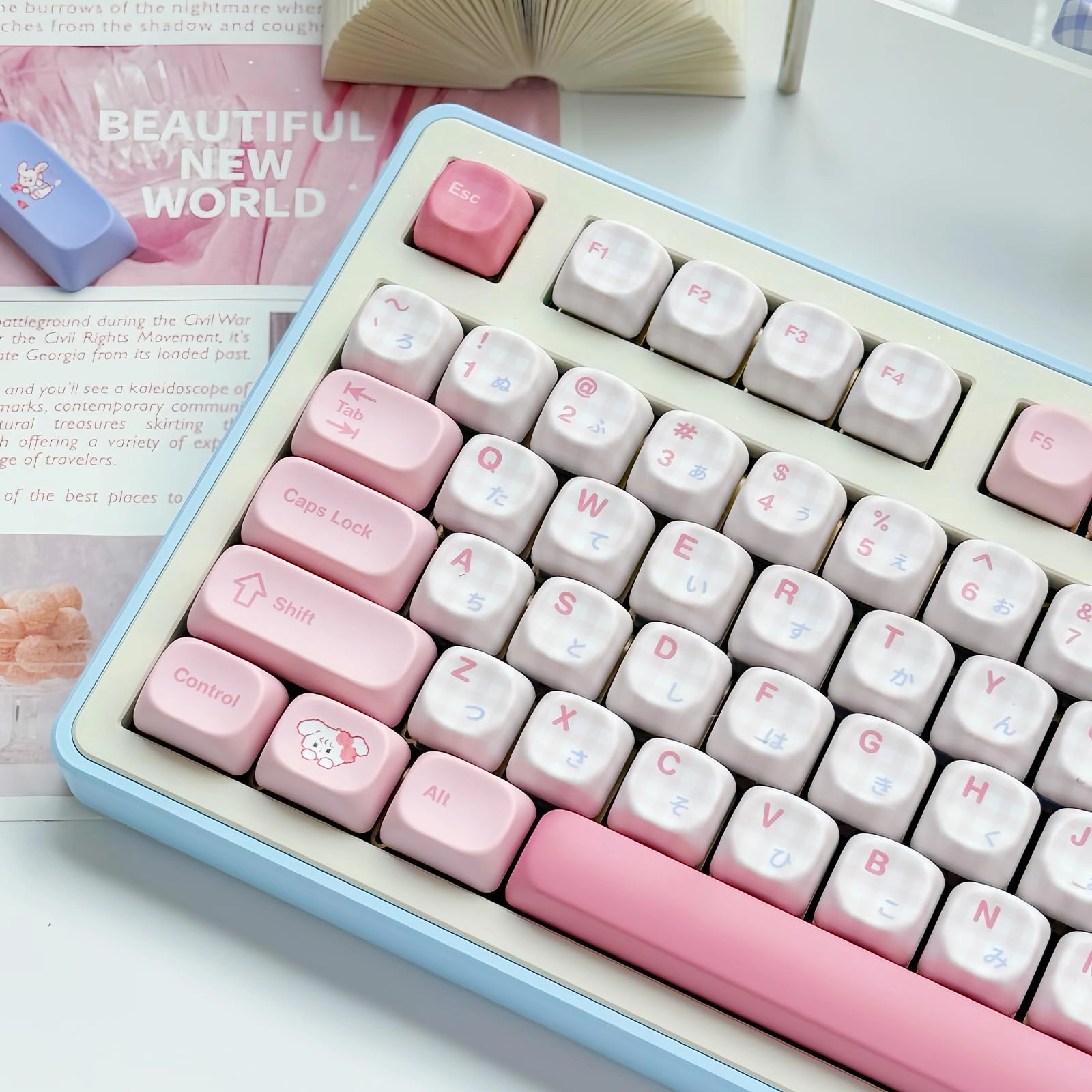 SUEHIODHY MOA Profile Keycaps - USB-A