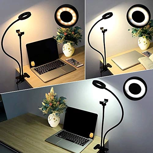 HR49 - Professional Live Stream Selfie Ring Light with Mobile Stand