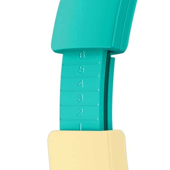 Animal Crossing Wireless Headphone