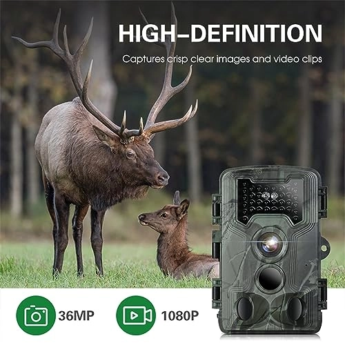 Trail Camera - 36MP