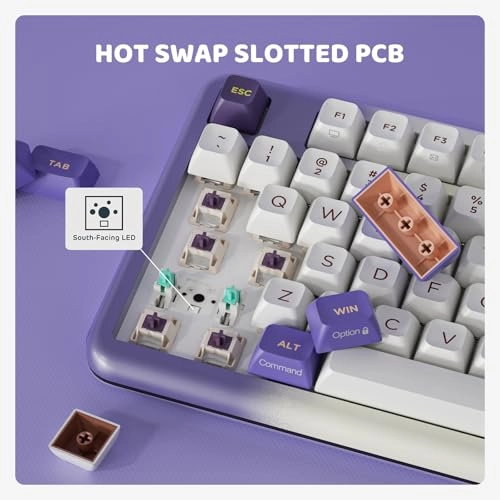 Z98 - Wired/Wireless