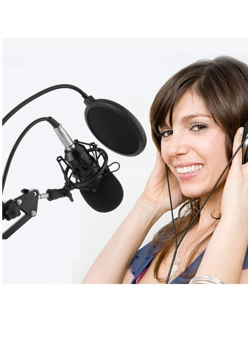 BM-800 + V8 Live Sound Card Wired Microphone