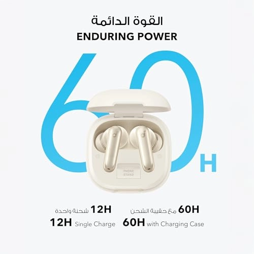 Soundcore P40i Wireless Earphone