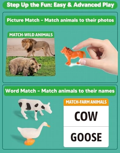 2-in-1 Matching Game - 36 realistic animal figures 54 cards