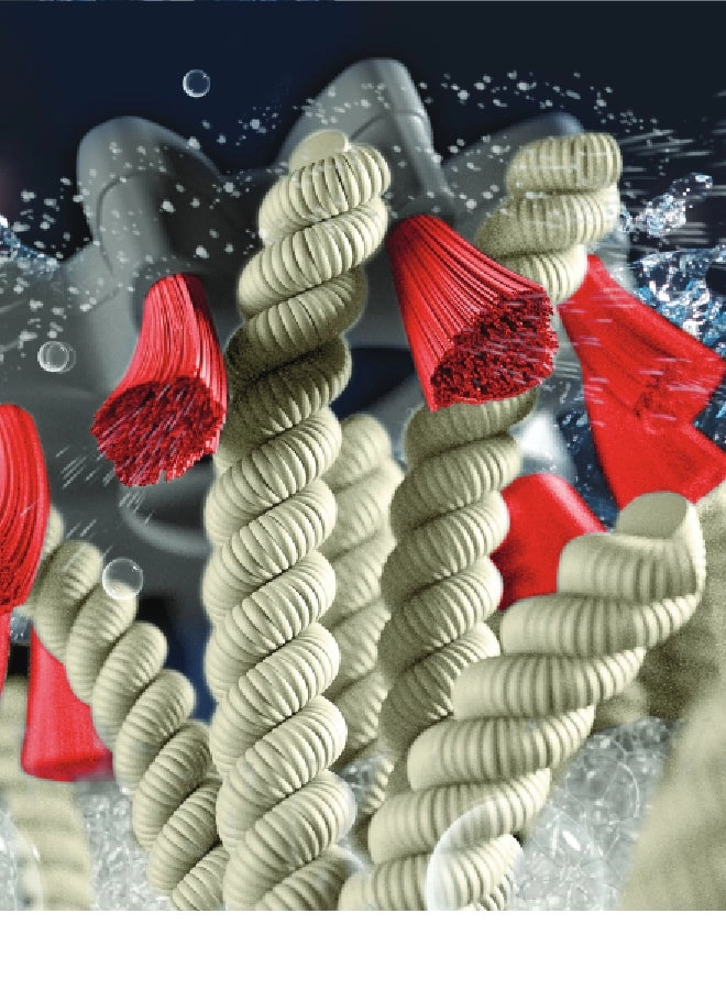 PowerScrub XL - Upright Shampooer 1200 watts