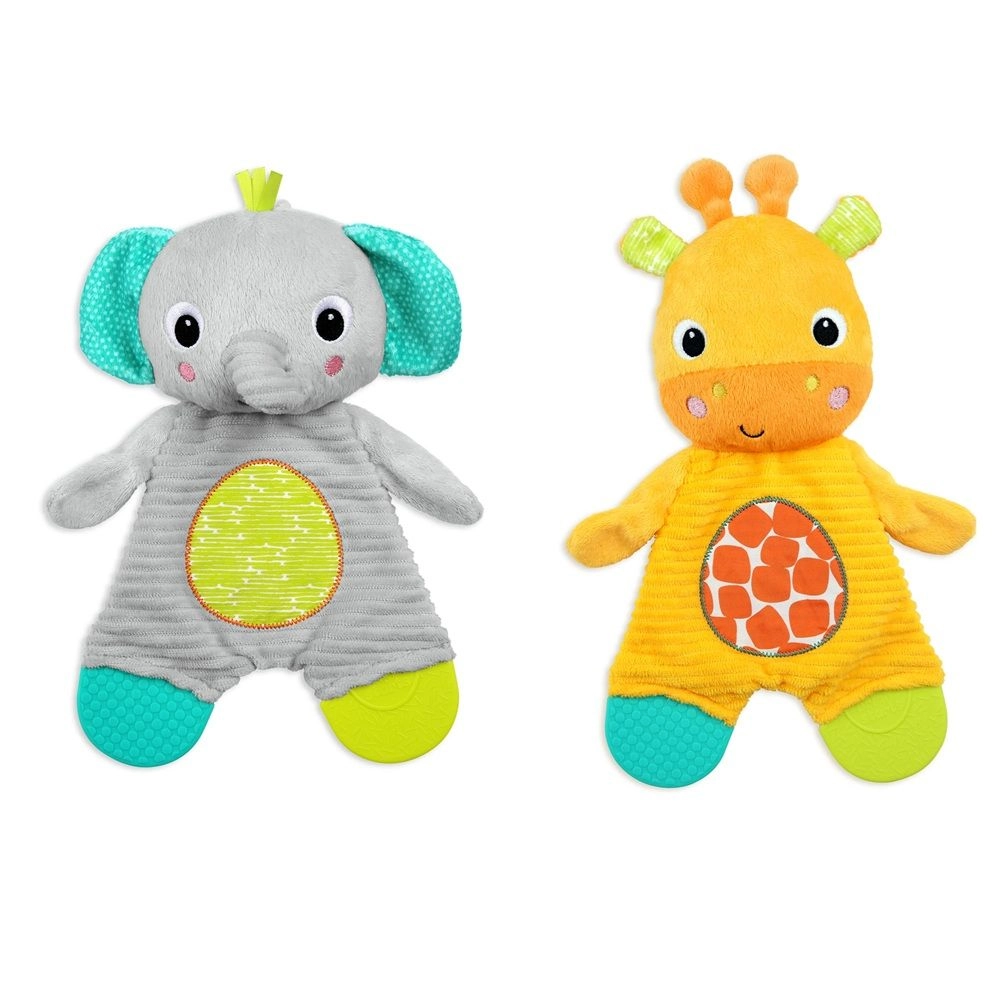 Bright Starts Snuggle & Teethe