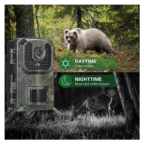 Hunting Camera - 16MP