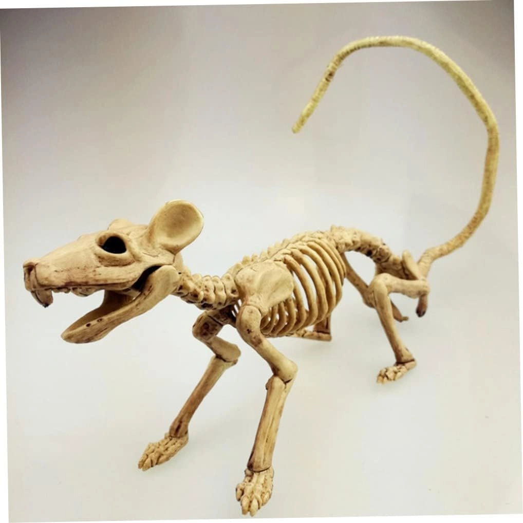 Rat Skeleton - Plastic