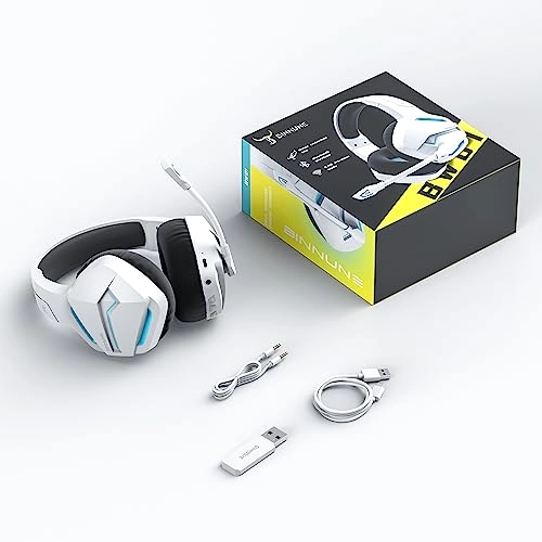 BW01-BT Wireless Headset
