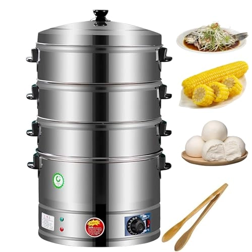 Commercial electric steamer