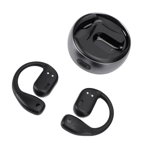 Translation Earphones - 74 Languages