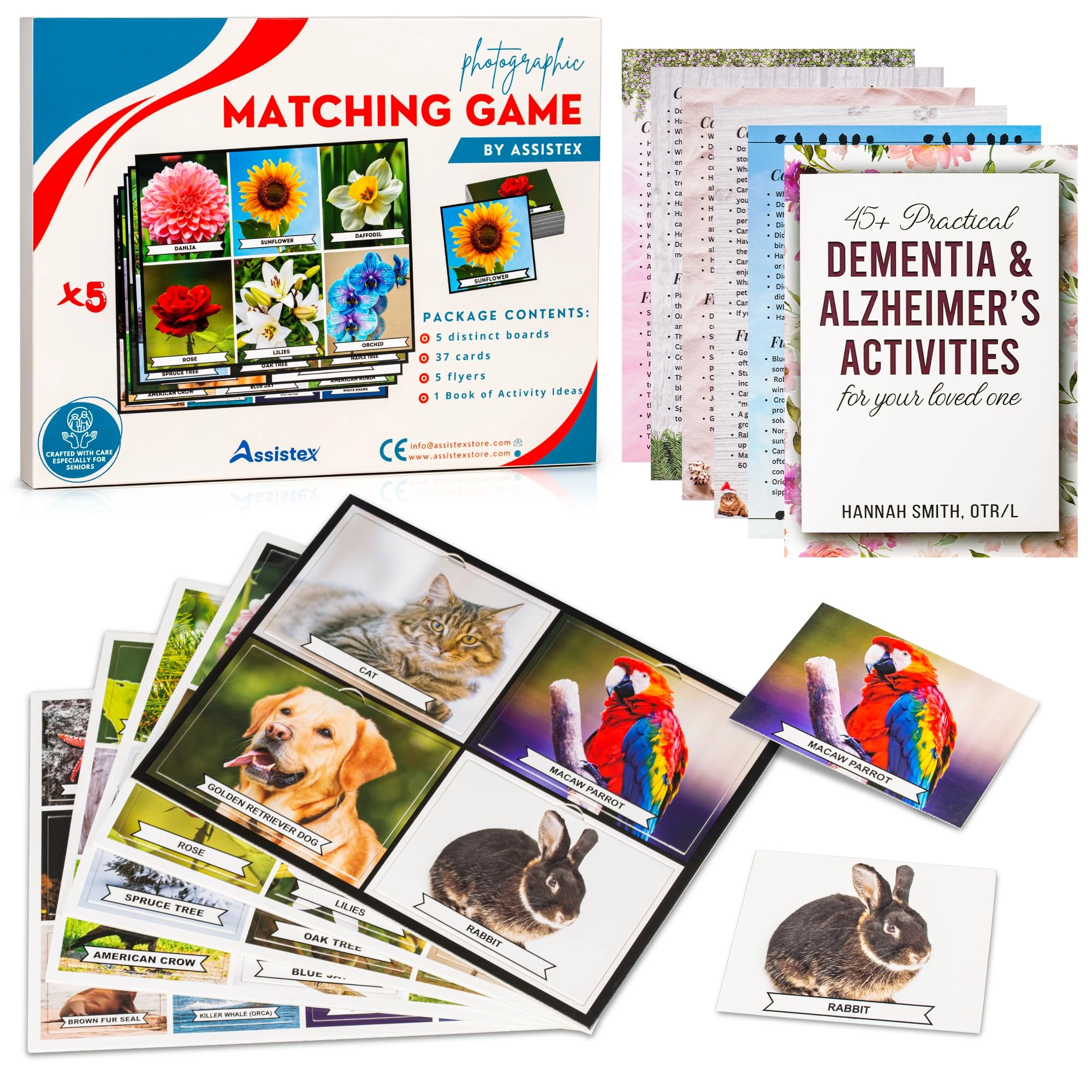 Assistex Matching Game - 37 cards 5 boards