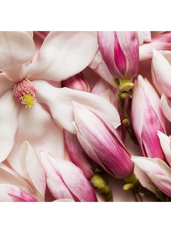 Celebrate Now Eau de Parfum 80ml