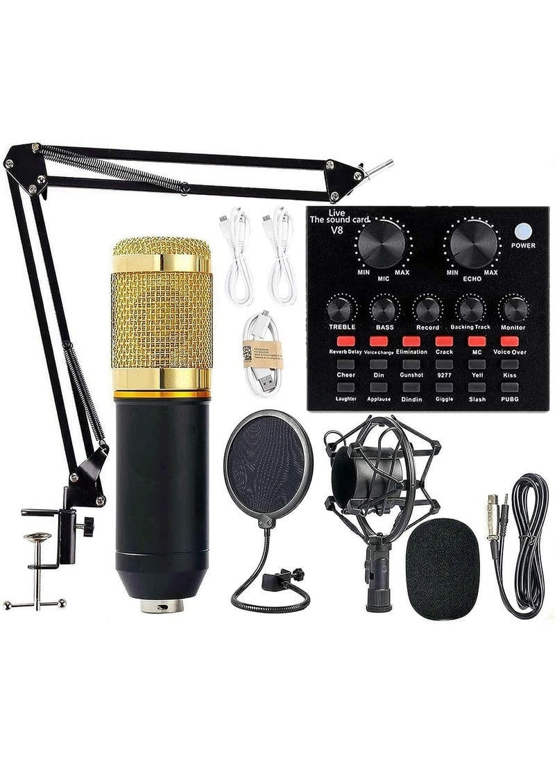 Microphone + Microphone Cable + Microphone Covers + Microphone Stand + Shock Mount + Double Layer Acoustic Filter + Live Sound Card + USB Cable + Audio Cables + Table Mount Clamp