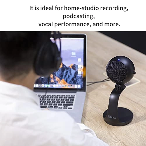 BY-PM300 USB Microphone