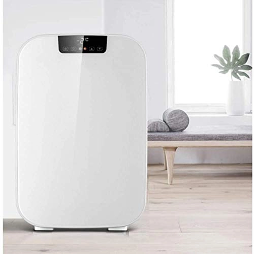 car refrigerator - mini dual voltage heating and cooling