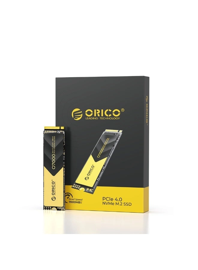 ORICO O7000 - 1 TB M.2 SSD 2280