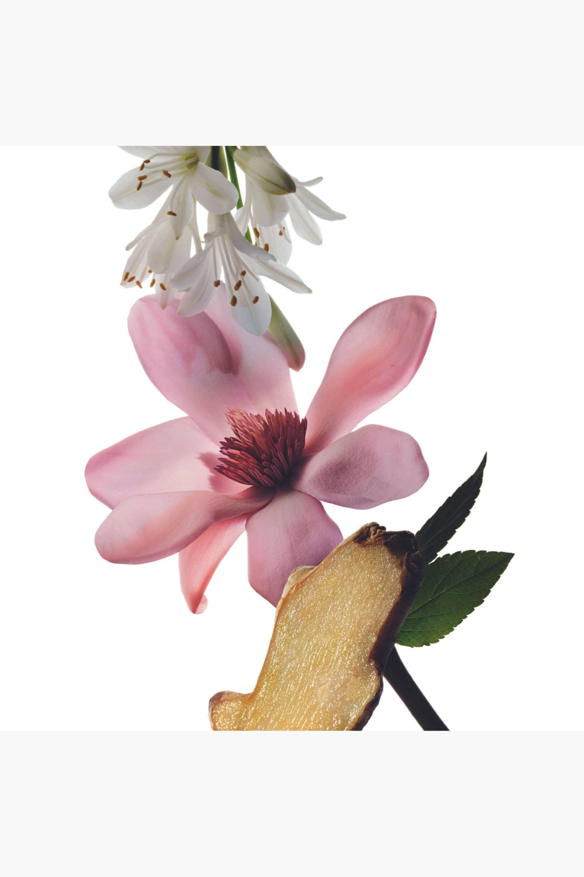 Radiant Magnolia Eau de Parfum 100ml