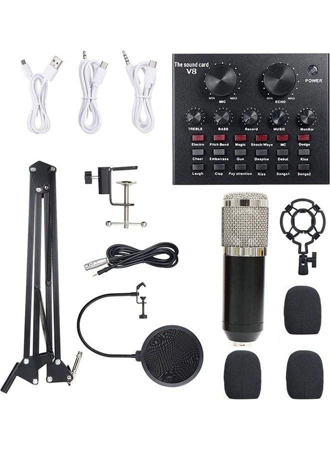BM-800 + Live Sound Card Wired Microphone