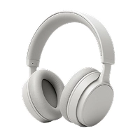 Headphones & Headsets