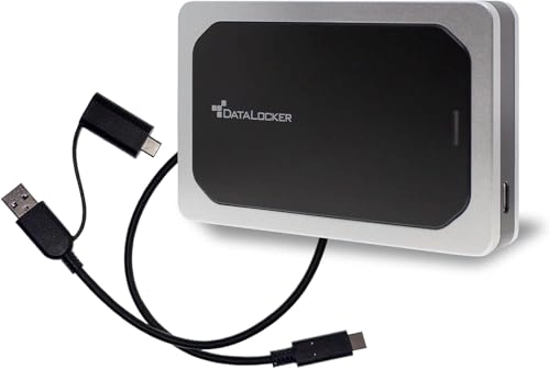 DL4-SSD - 1000 GB