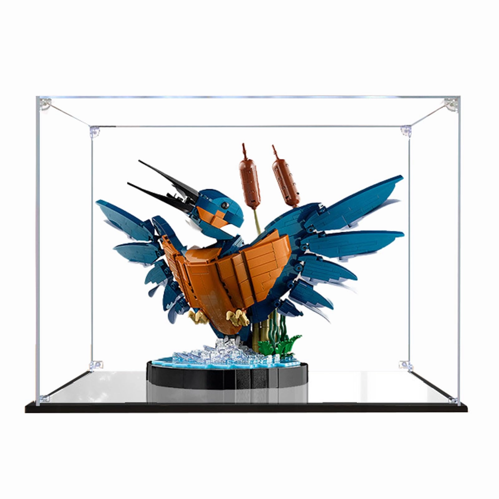 TIANQING Acrylic Display Case for LEGO 10331 Icons Kingfishor Bird Set