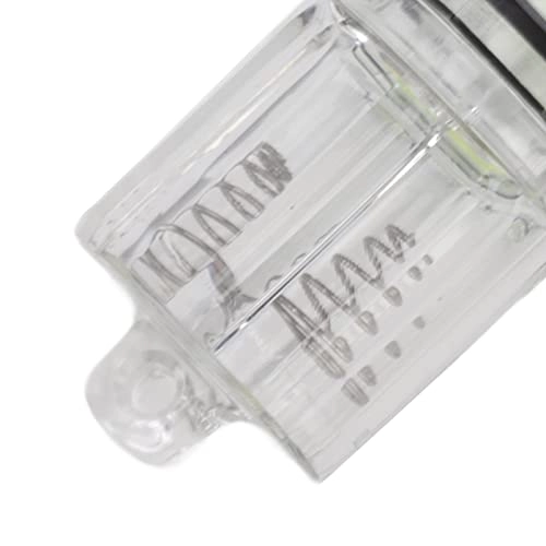 Underwater Fish Light