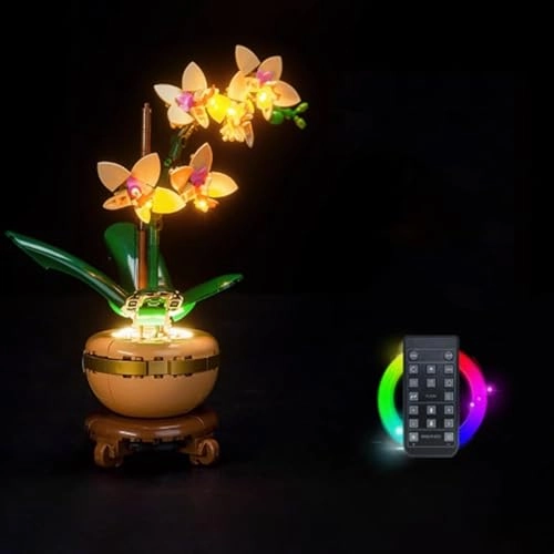 LED Light kit - for Lego 10343 Fortune Bamboo Model Classic
