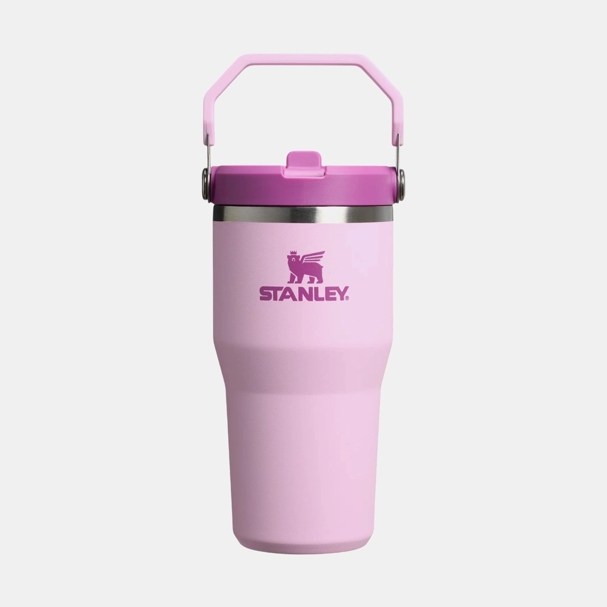 Stainless Steel Iceflow Flip Straw 2.0 Tumbler - 600ml