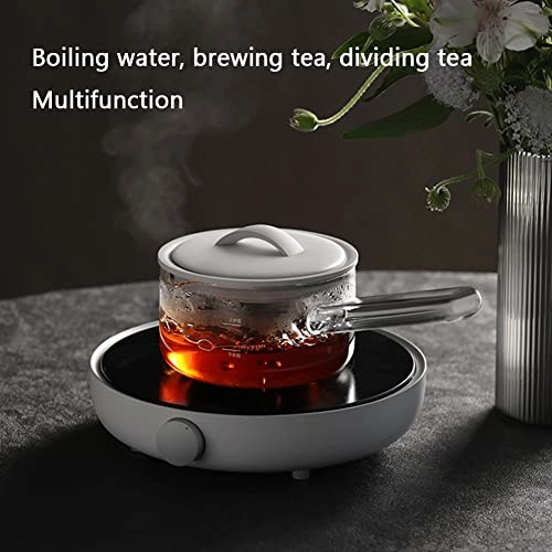 Teapot set - high borosilicate glass 500mL