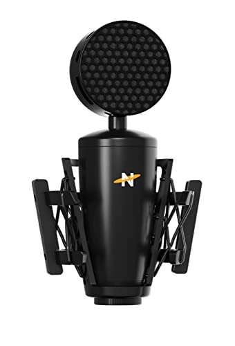 King Bee II XLR Microphone