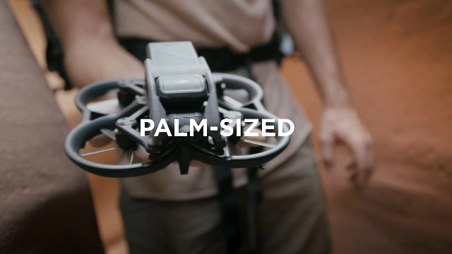 Avata - Pro-View Combo