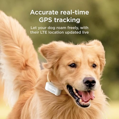 GPS Tracker