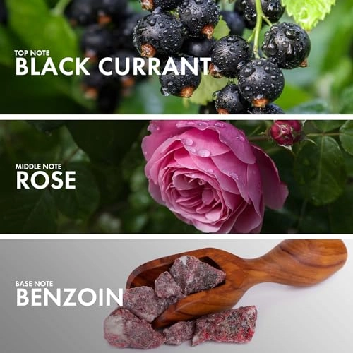 Currant Benzoin Eau de Parfum 50 ml