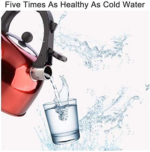 Stovetop Whistling Kettle - 3L