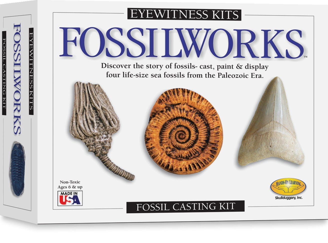 MZA STORES Eyewitness Kit Fossilworks Casting Kit