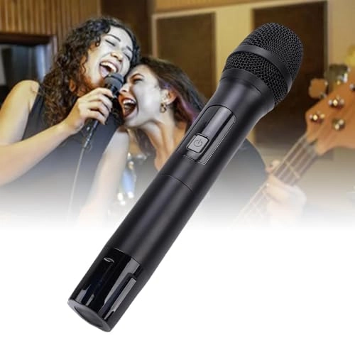 Karaoke Microphone