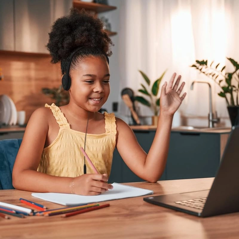 Bulk Headphones with Microphone Wired Headphone