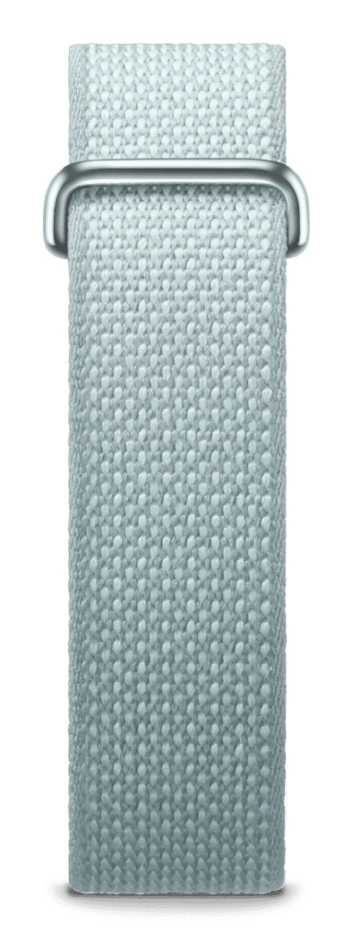 Fitbit Air