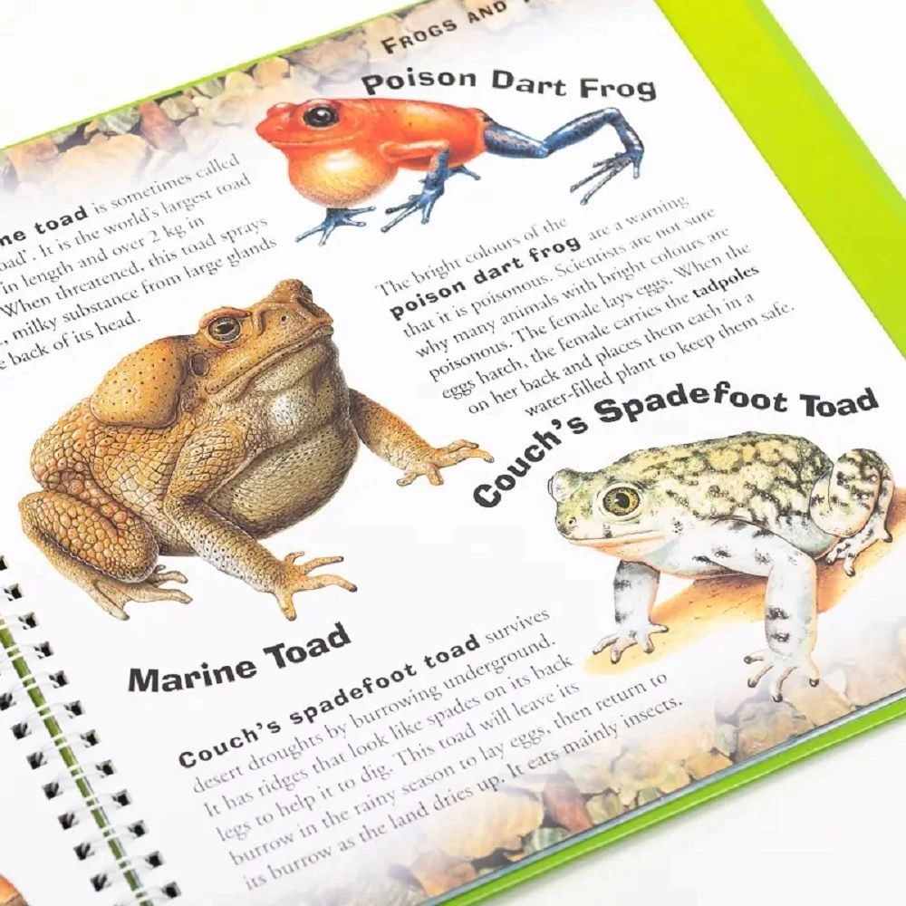 Incredible Reptiles & Amphibians - 6+